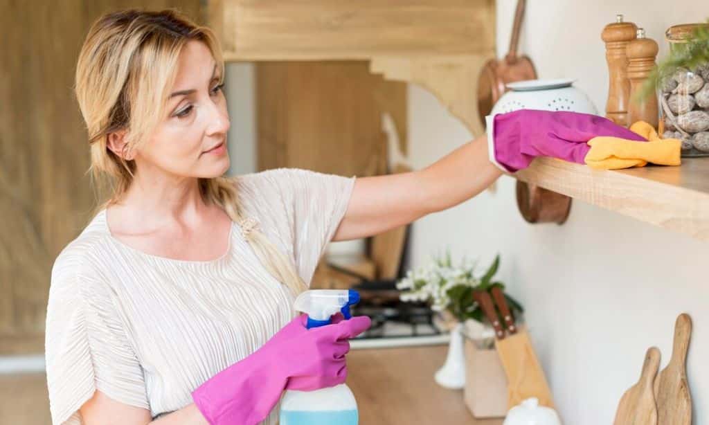 Cleaning the House