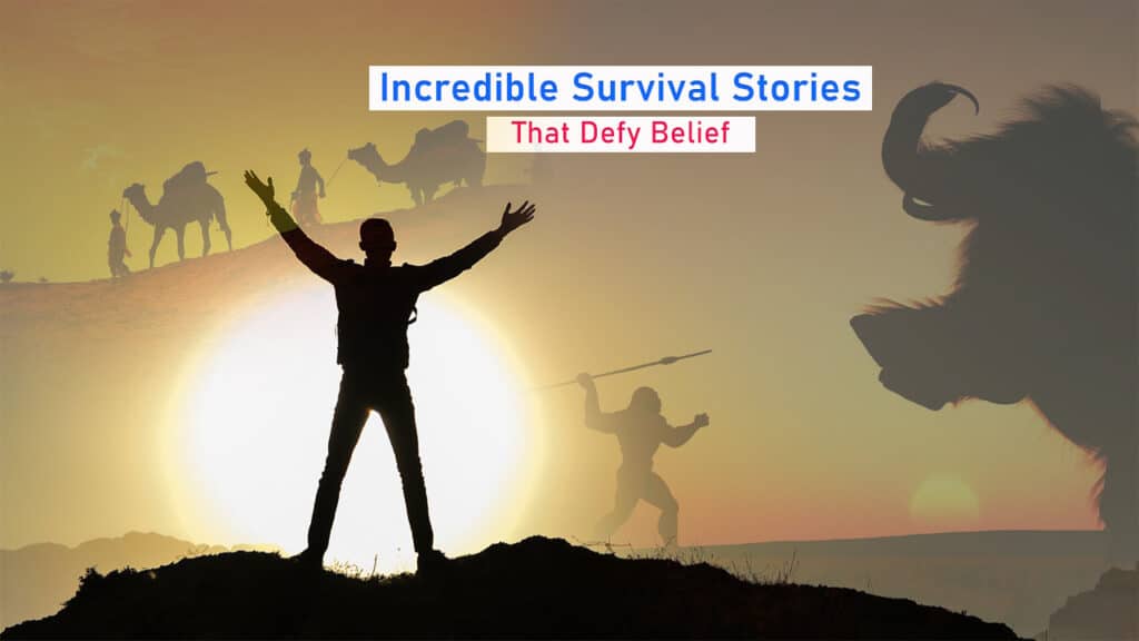 Incredible Survival Stories That Defy Belief