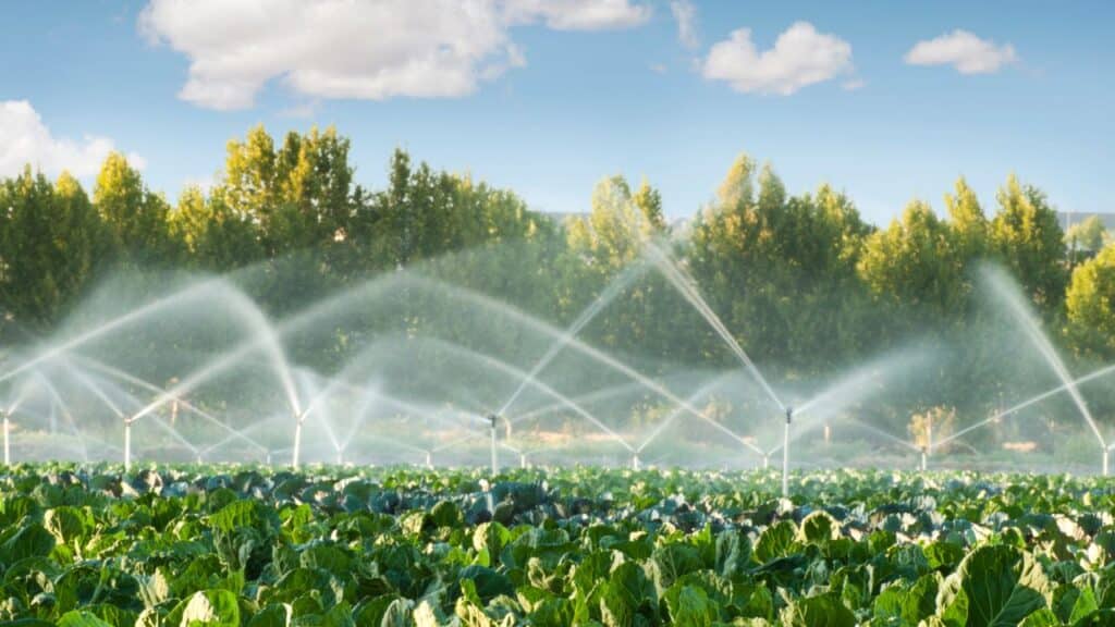 Creating a vibrant and refreshing scene of modern agriculture