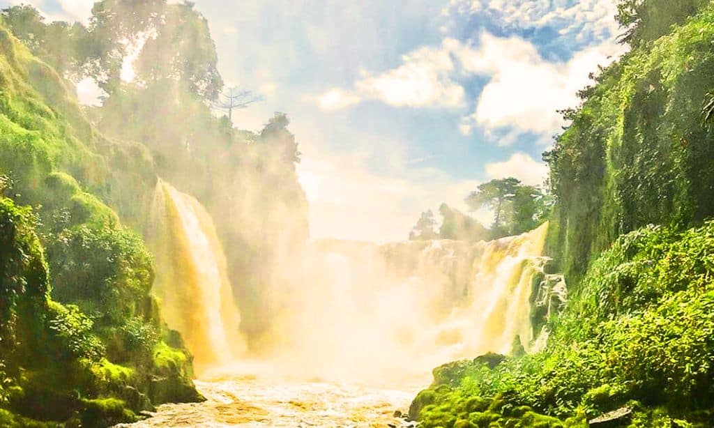 Ivindo National Park 