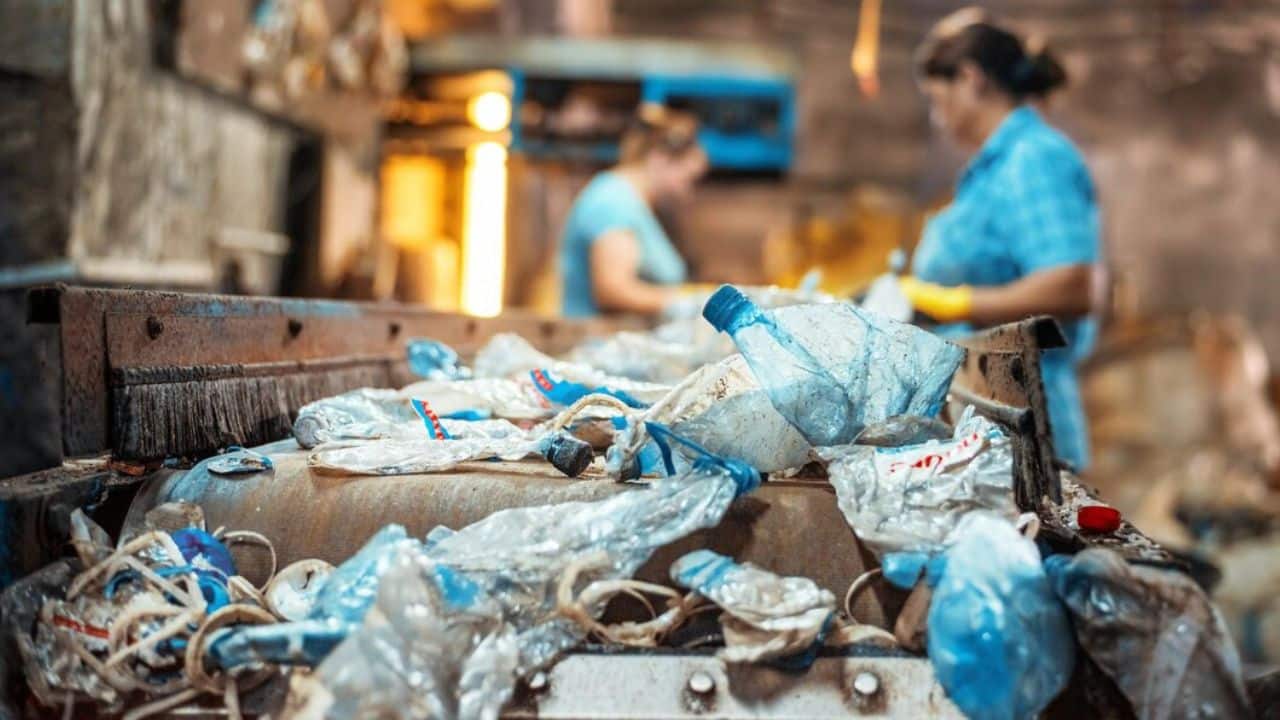 Top Industries That Benefit from Dumpster Rentals