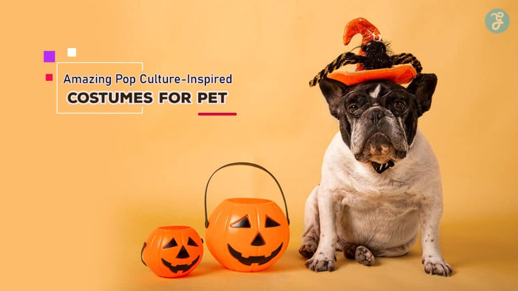 Cosplay for Pets