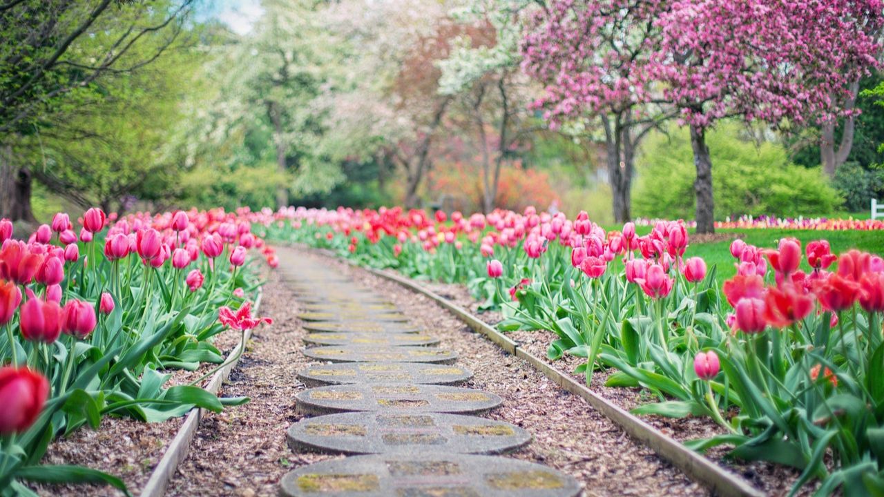 Creative Ways to Upgrade Your Outdoor Space