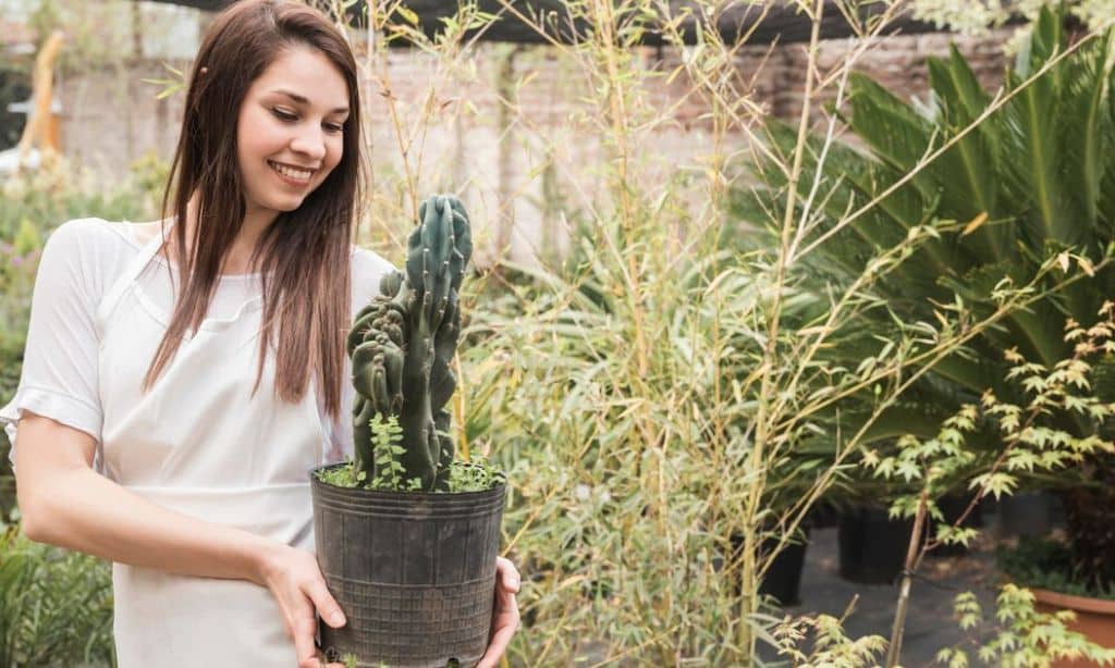 Outdoor Plant Care
