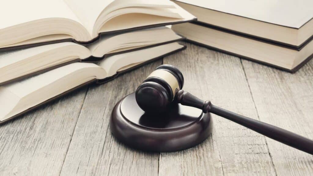Plea Bargains Criminal Case