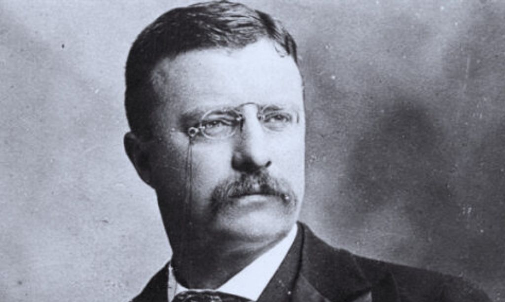 Theodore Roosevelt 