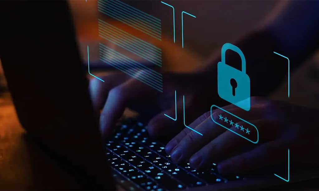anonvault future