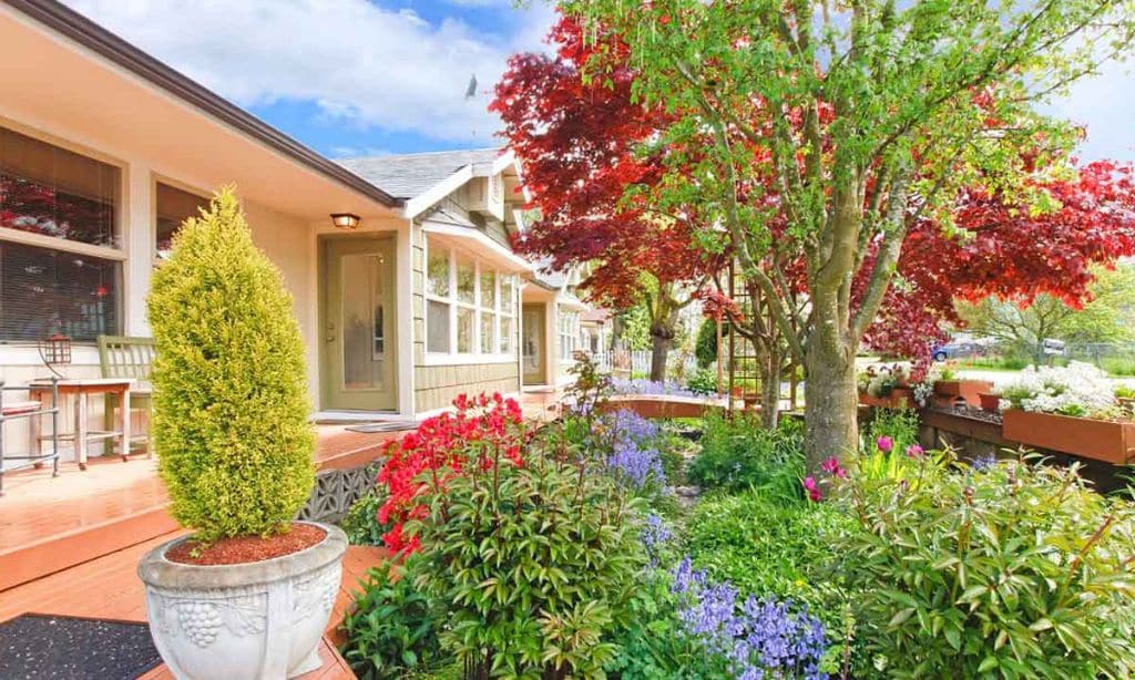 Improve Landscaping
