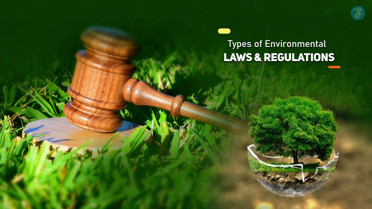 Types of Environmental Laws and Regulations