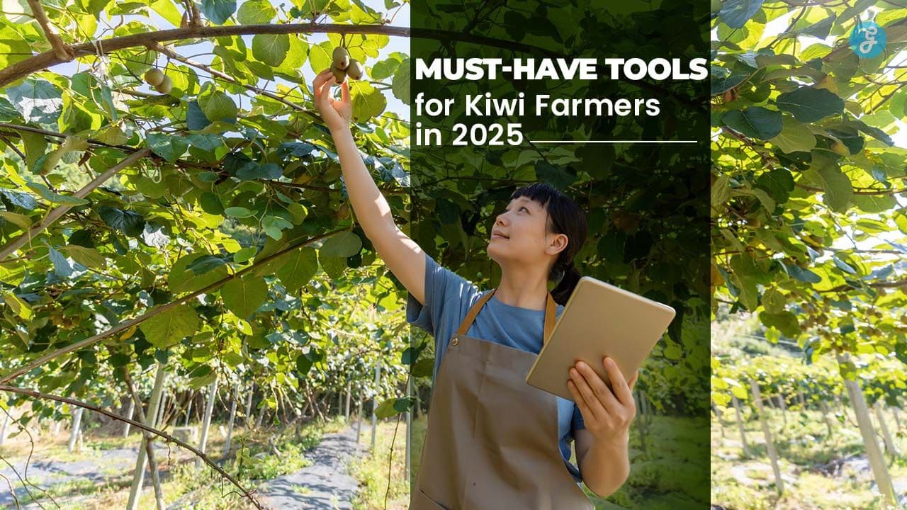 must-have tools for Kiwi farmers