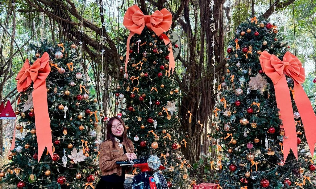 Festive Christmas Scene with Decorated Trees