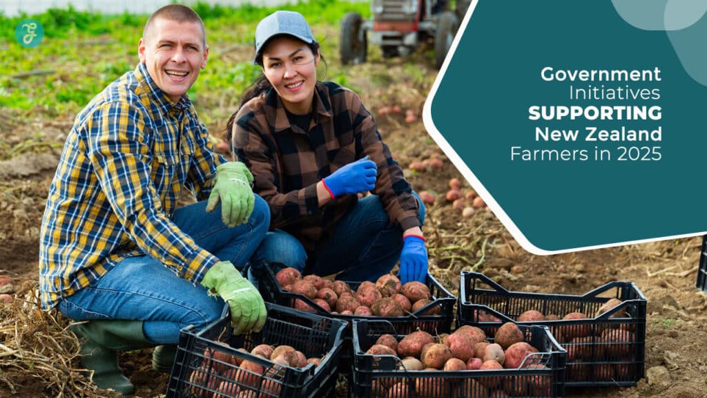 Government Support for New Zealand Farmers