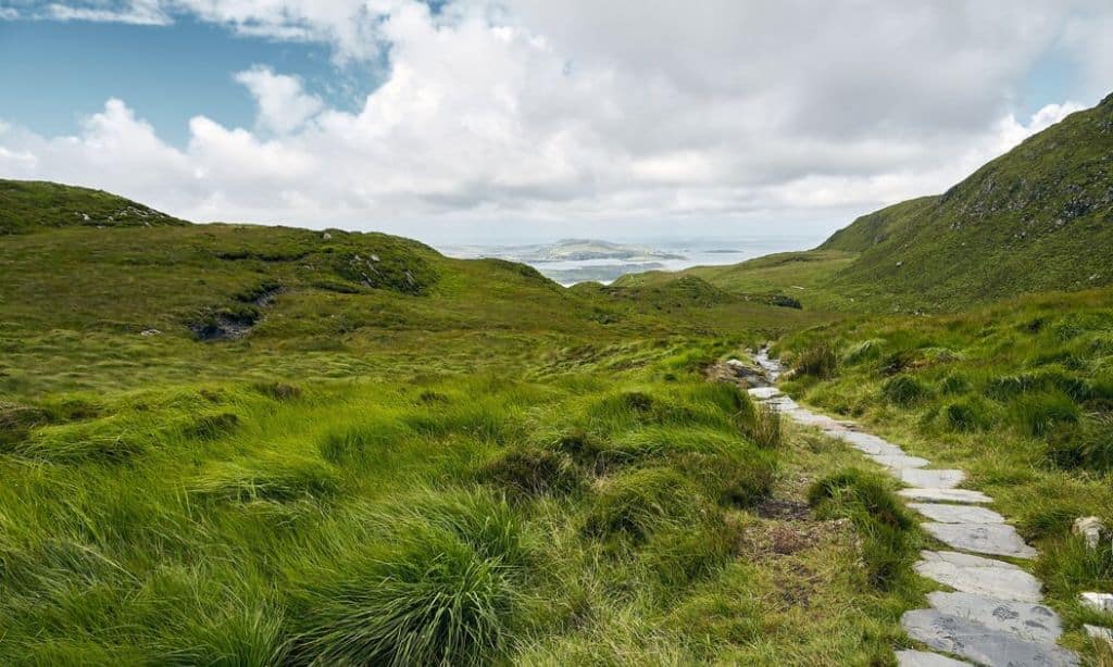 The Teesdale Way