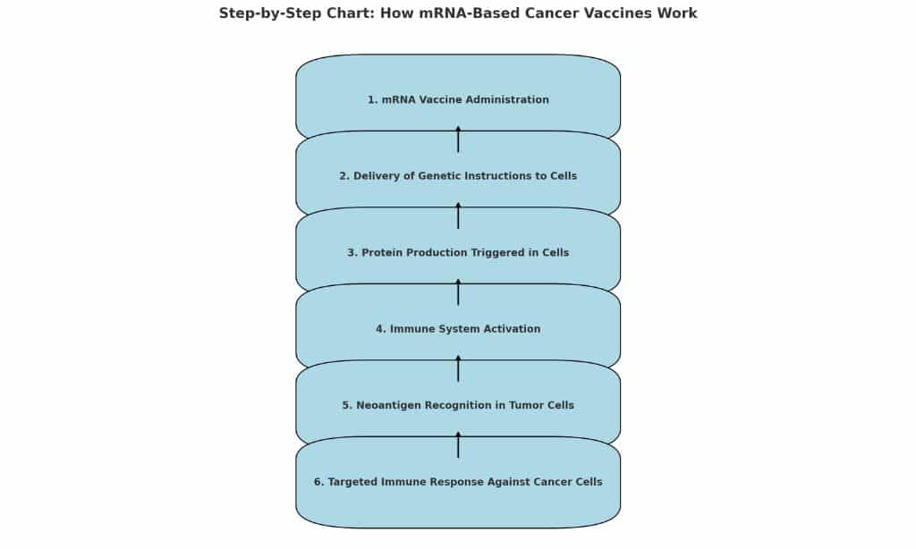 How mRNA Based Cancer Vaccines Work