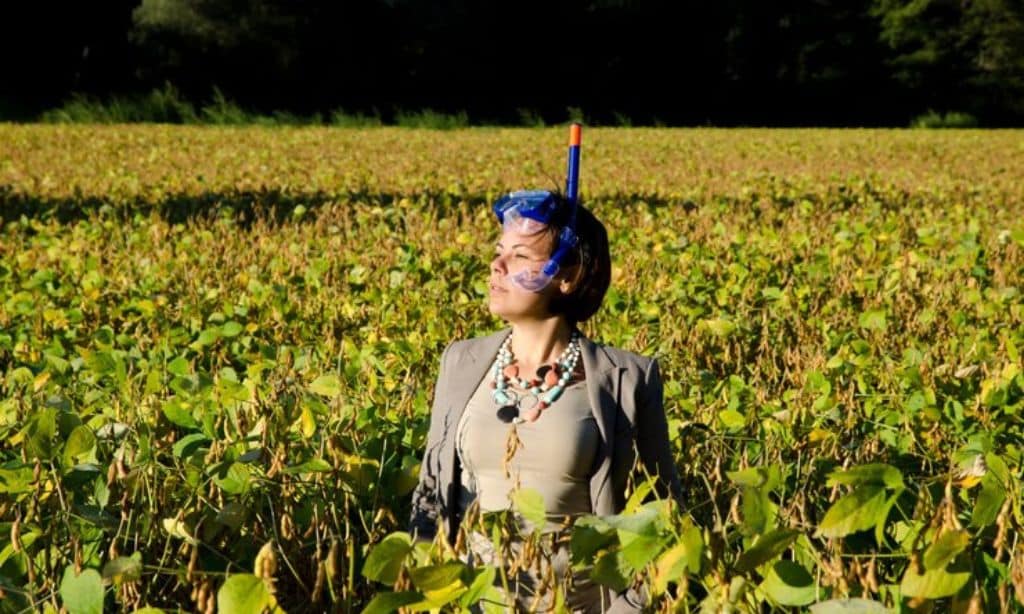 Opt for Drought-Resistant Crops