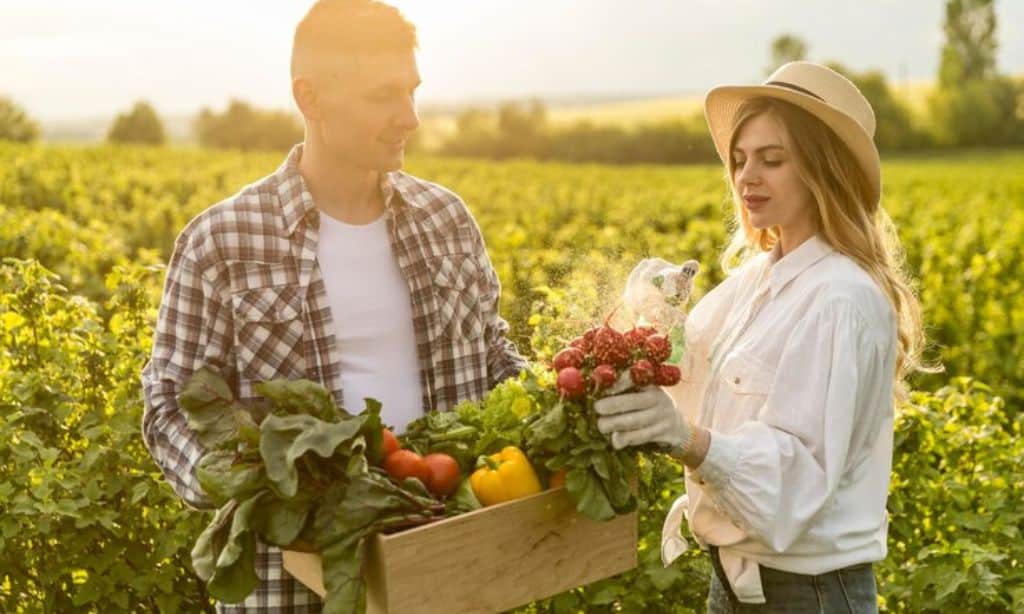 Sustainable farming practices in the USA