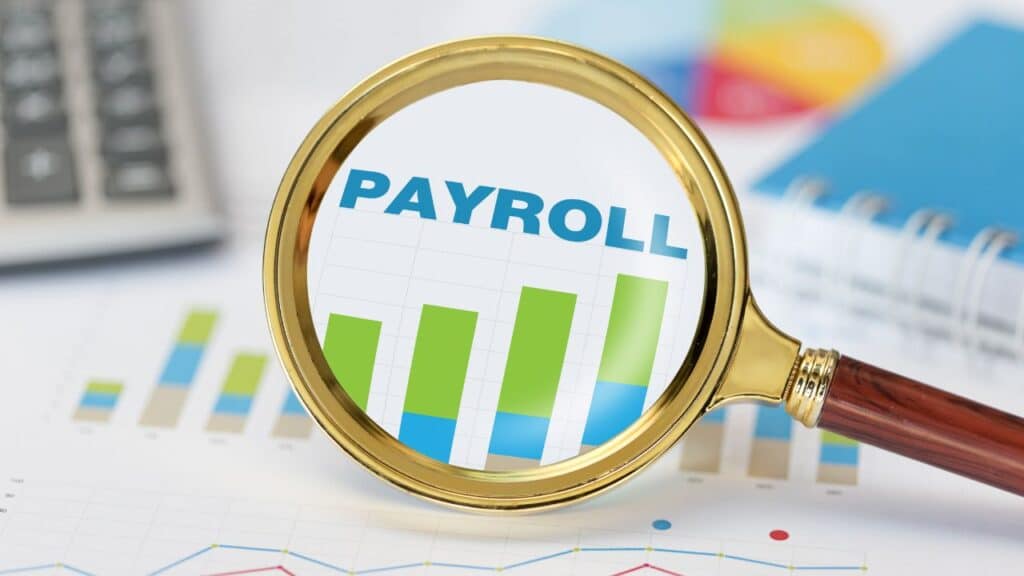 Payroll Software Solutions for Small Businesses in Italy