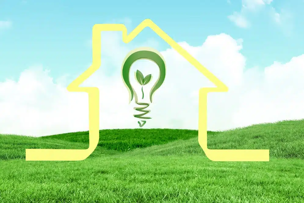 Rise of Eco-Friendly Homes