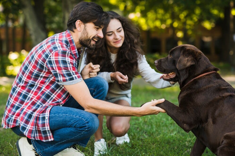 Socialize Your Dog