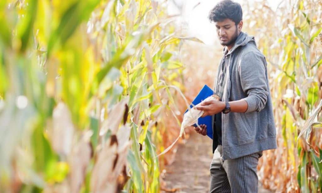 Climate Change Impact on US Agriculture