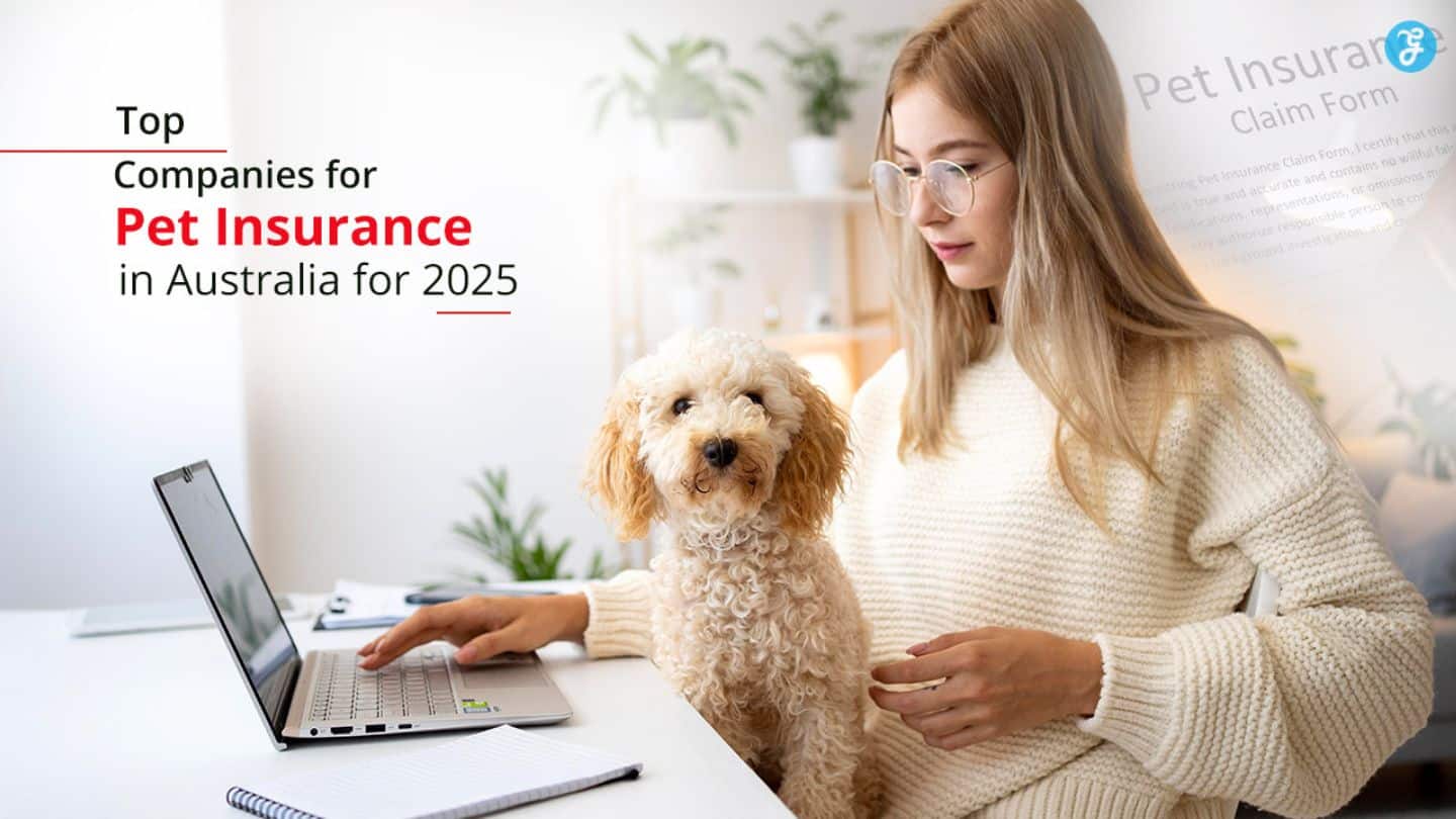 Pet Insurance Companies in Australia