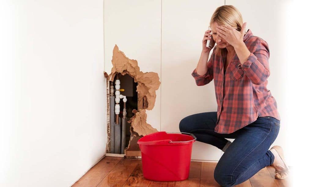 Professional plumber in Australia