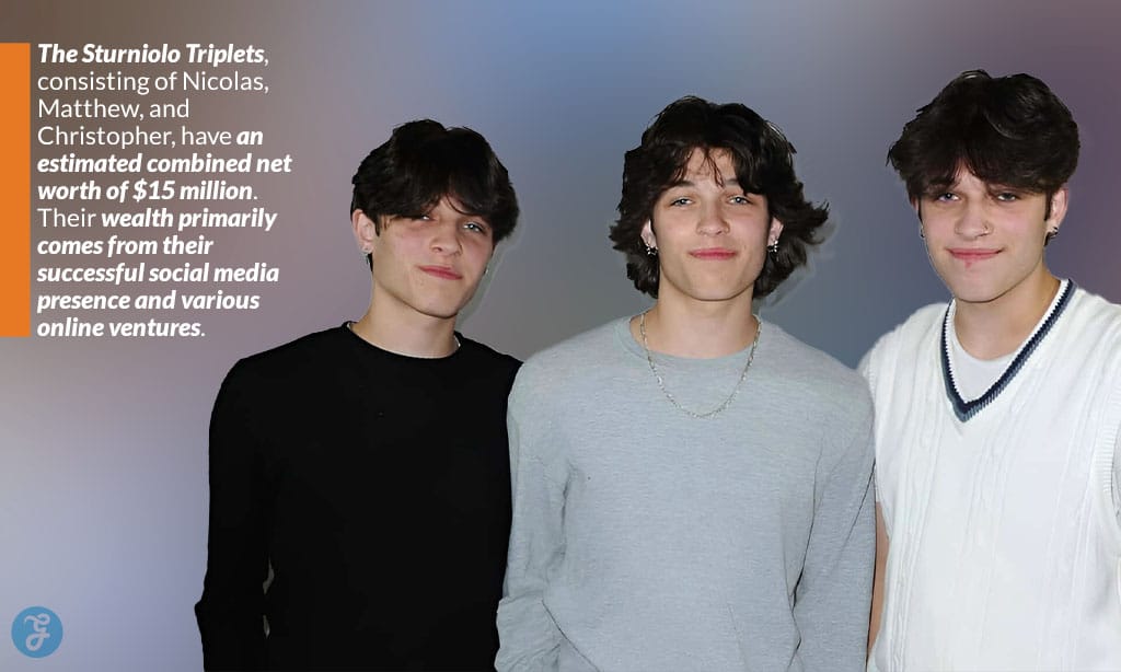 sturniolo triplets estimated net worth