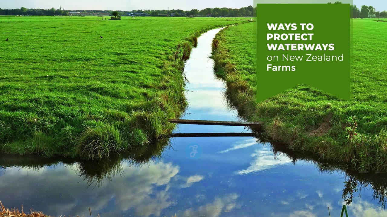 Protect Waterways on New Zealand Farms