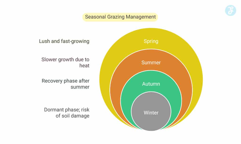 Assess Your Pasture Condition