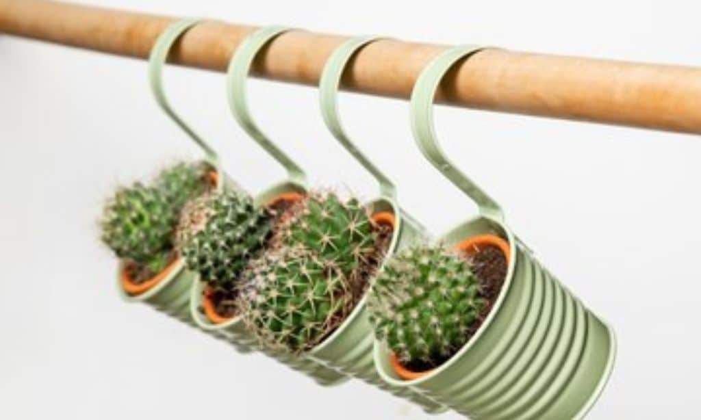 Bamboo Plant Holders