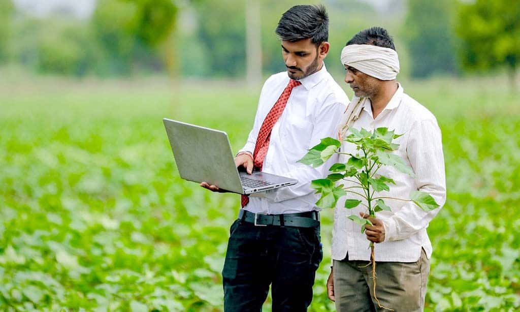 Benefits and Limitations of Crop Insurance