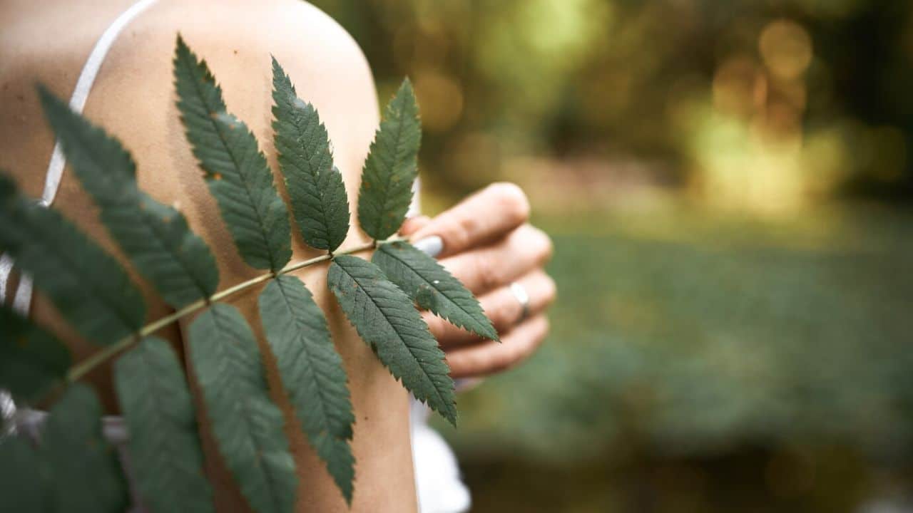 CBD for daily balance