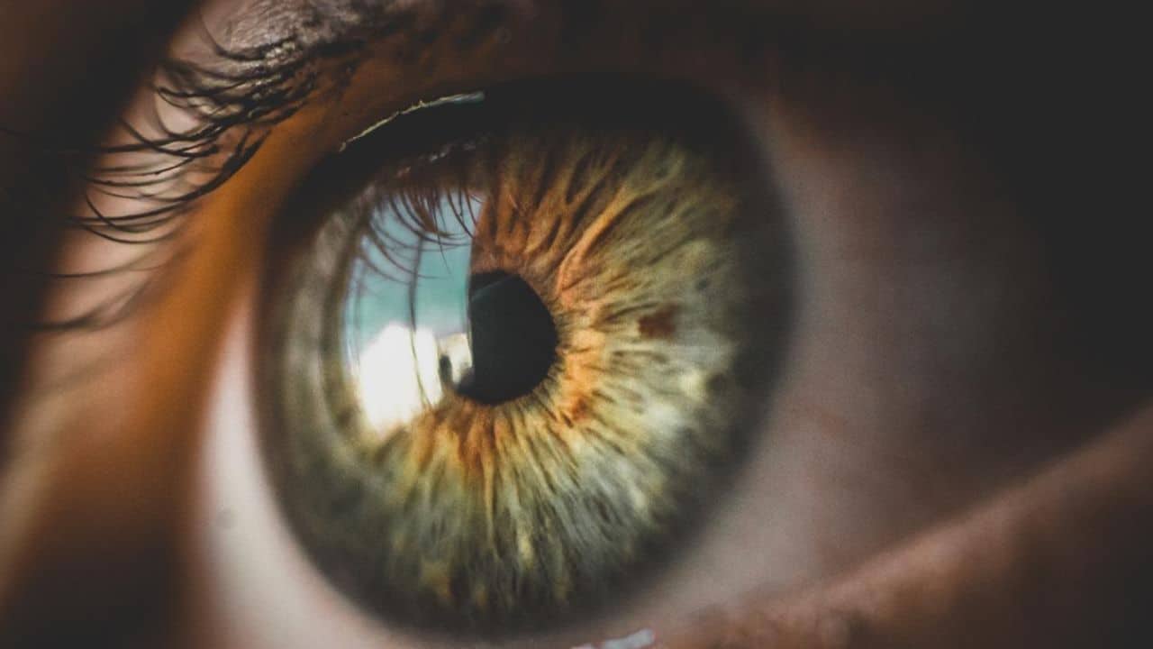Foods For Your Eyes in Lasik NYC