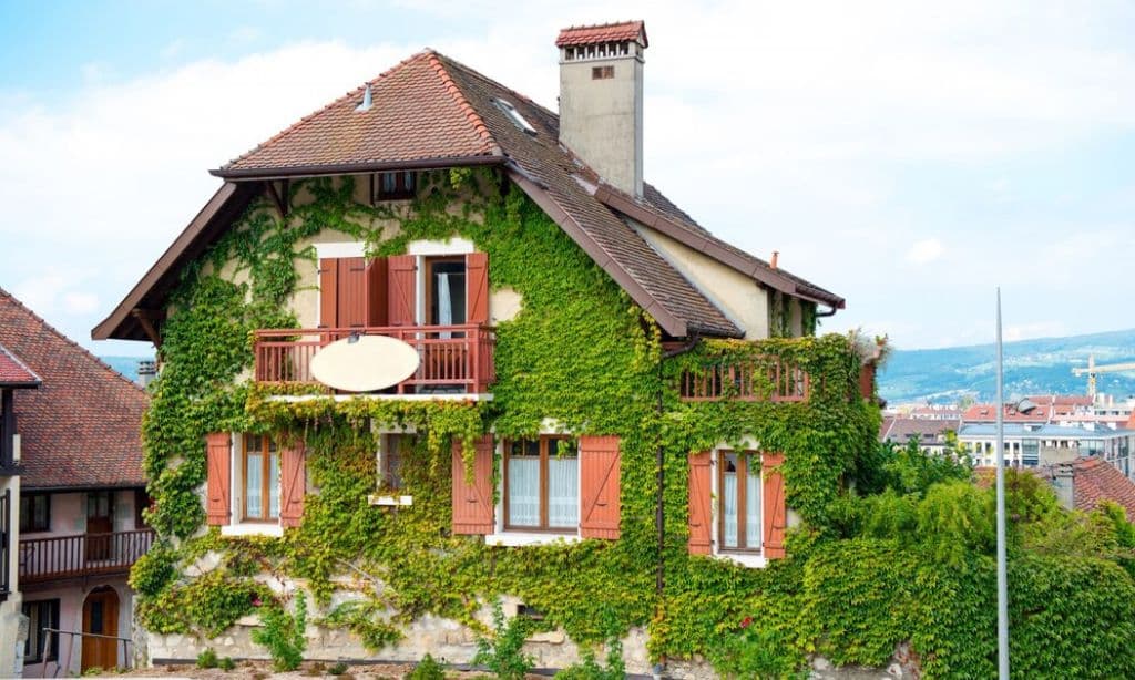 Green Roof Homes