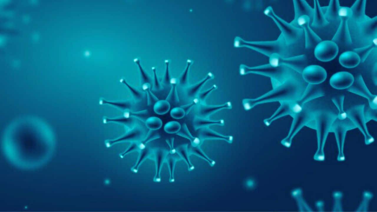 HMPV Cases Decline in Northern China