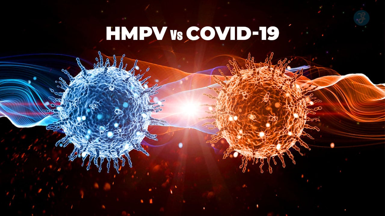 HMPV vs COVID-19