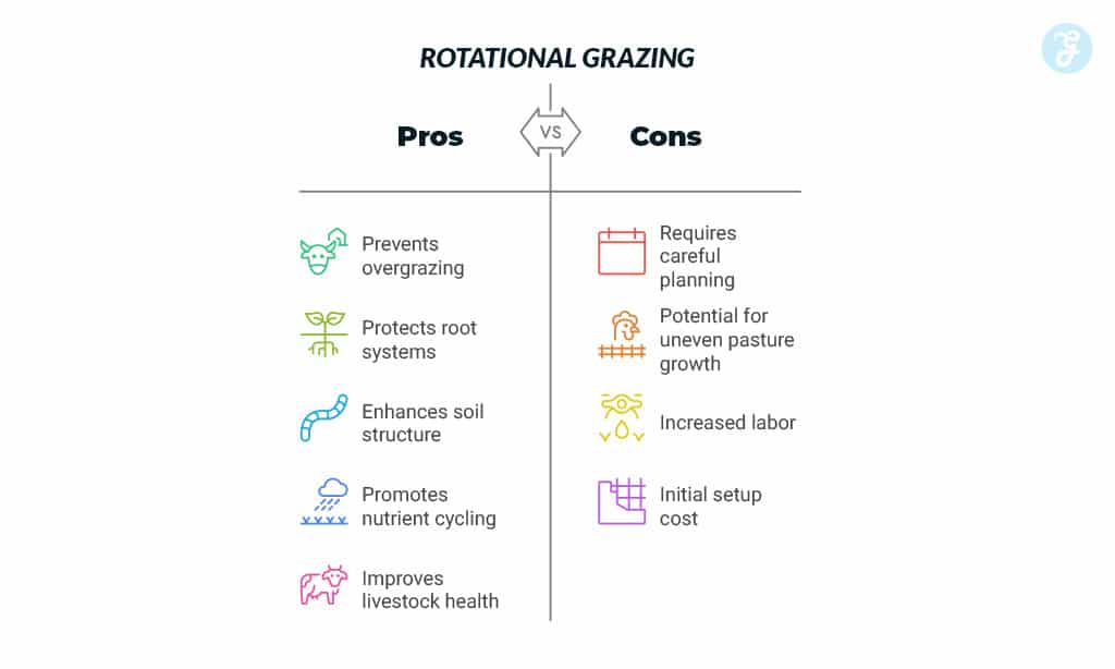 Implement Rotational Grazing