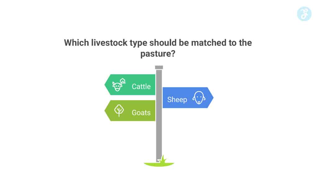 Match Livestock to Pasture Type