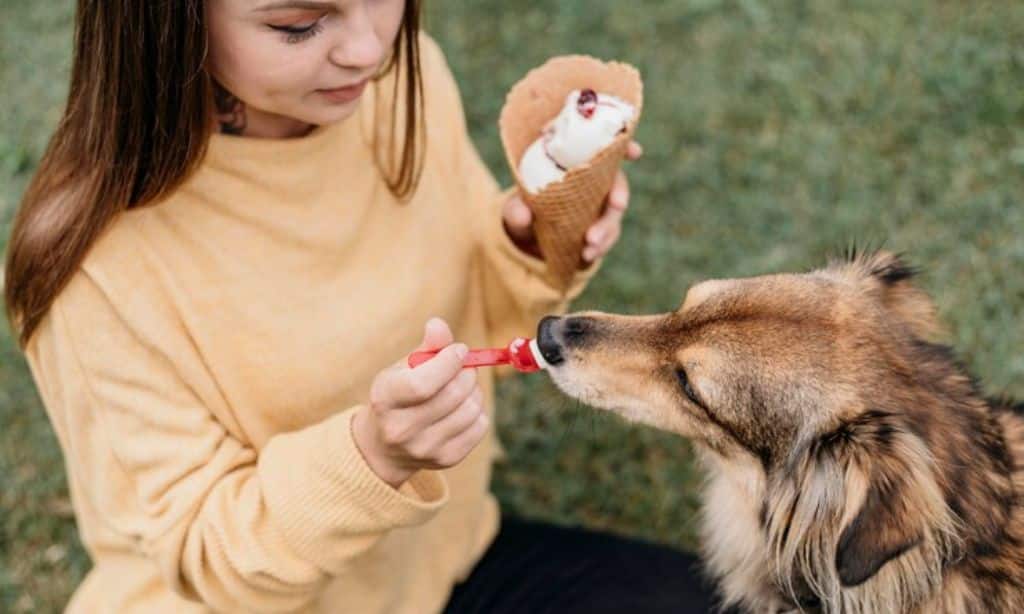 Organic Paw Balms