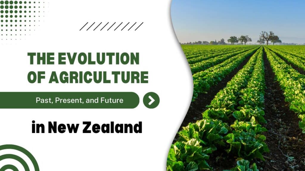 The Evolution of Agriculture in New Zealand