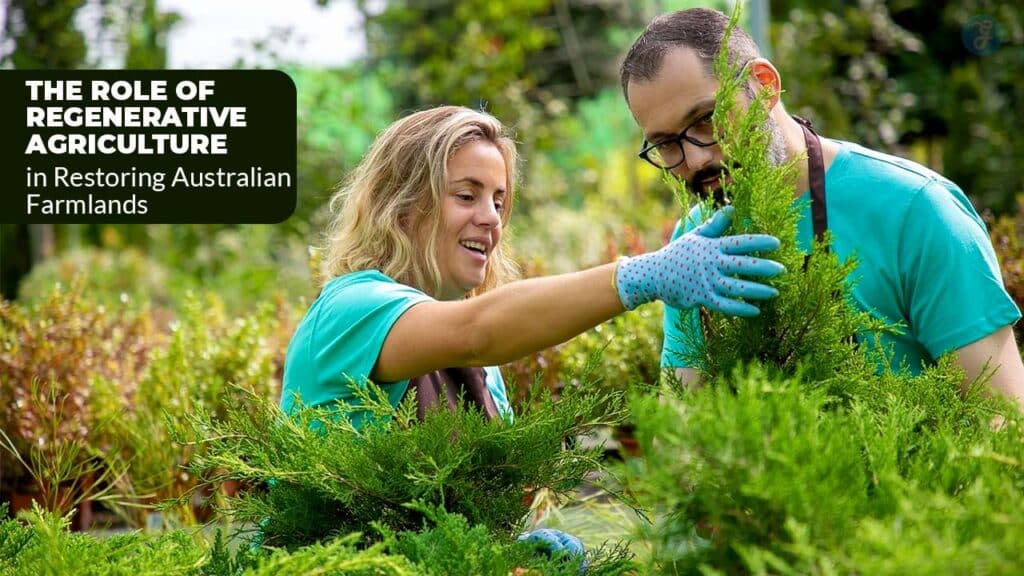 Regenerative Agriculture in Restoring Australian Farmlands