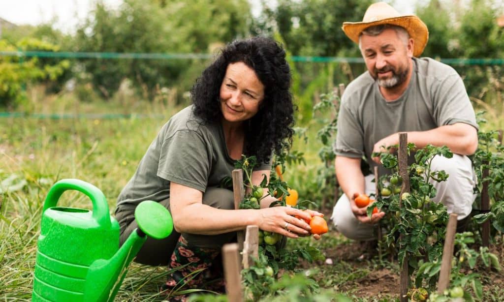 Tips and Best Practices for Farmers