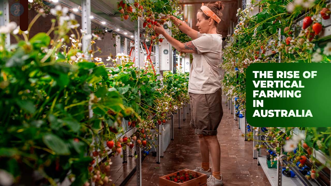 Vertical Farming in Australia