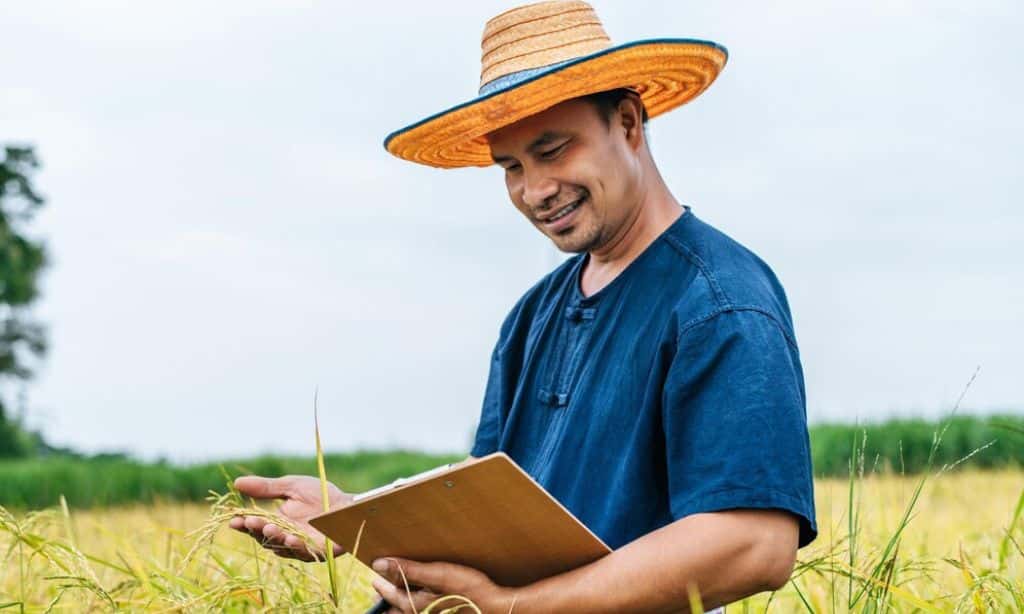 What Are the Challenges of Crop Insurance in India