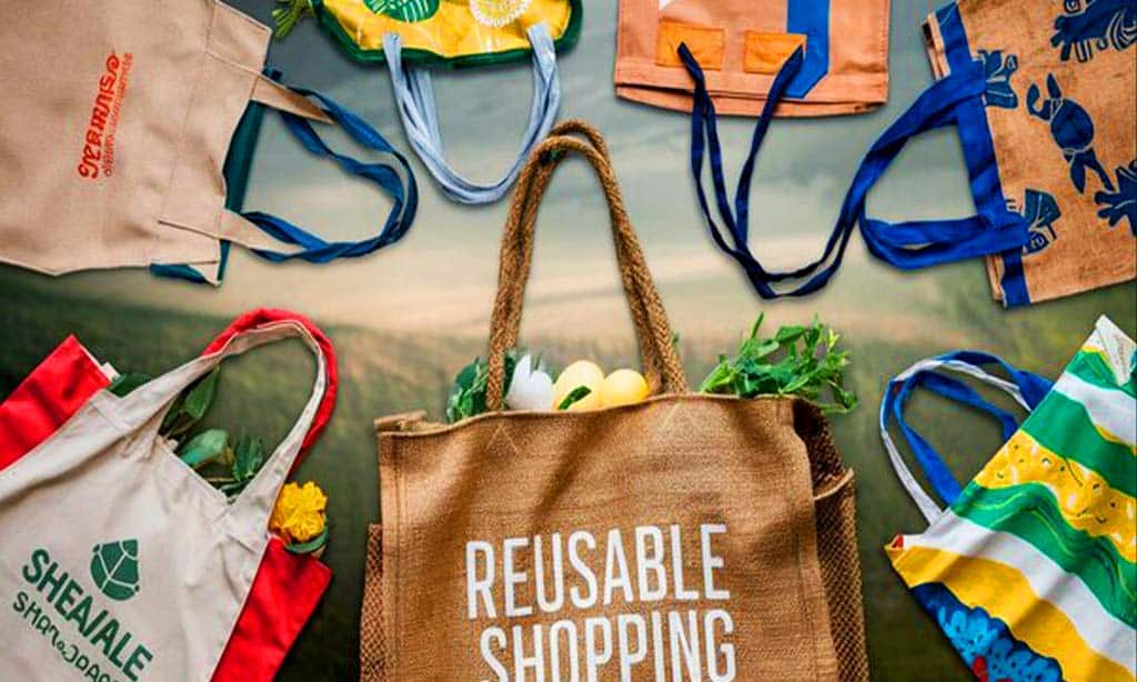 5 Inspiring Stories of How Reusable Bags Are Changing the Way We Shop