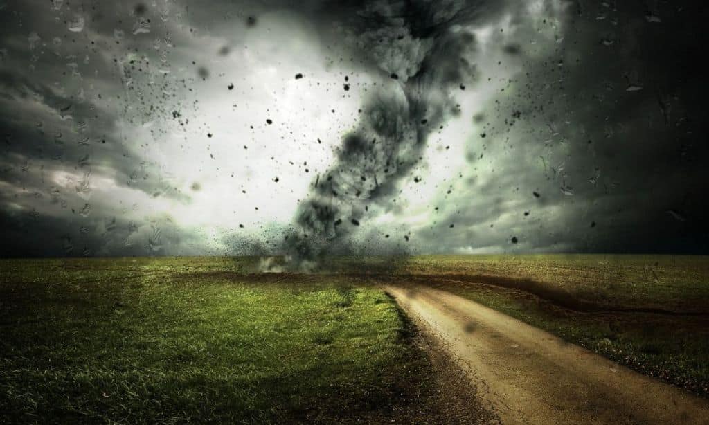 Climate Resilience and Adaptation
