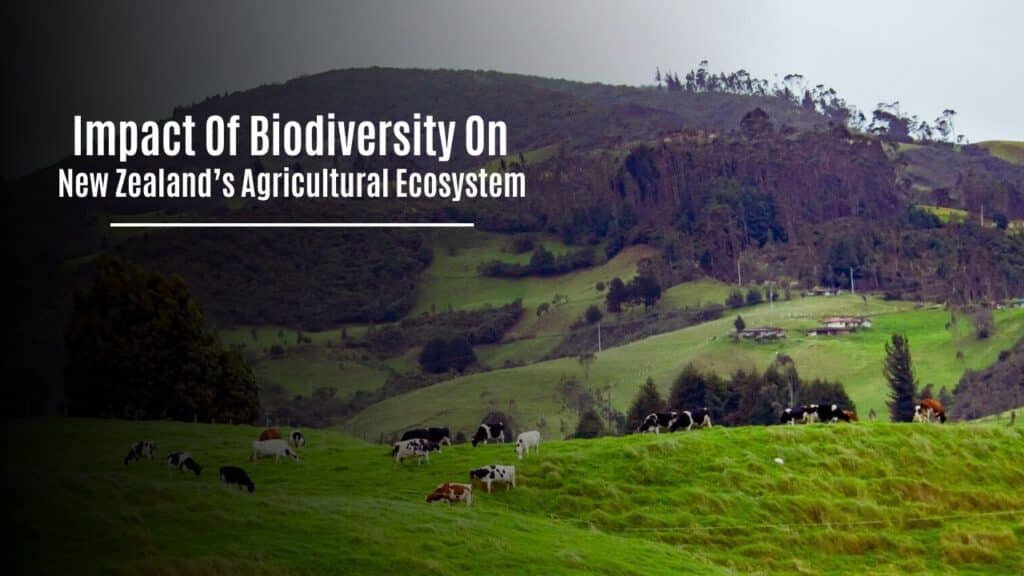 Impact Of Biodiversity On New Zealand’s Agricultural Ecosystem