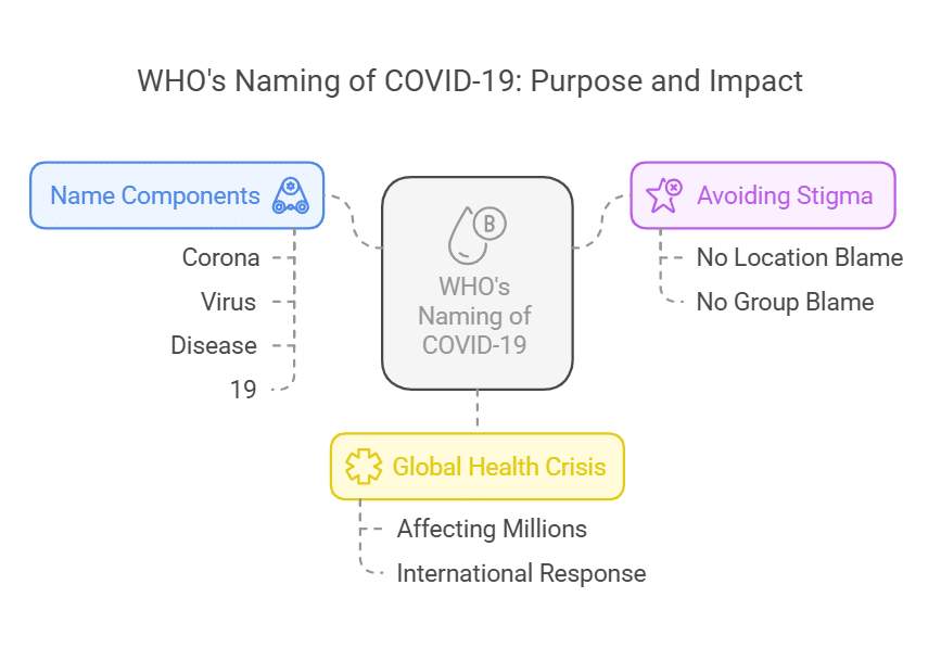 World Health Organization Names COVID-19