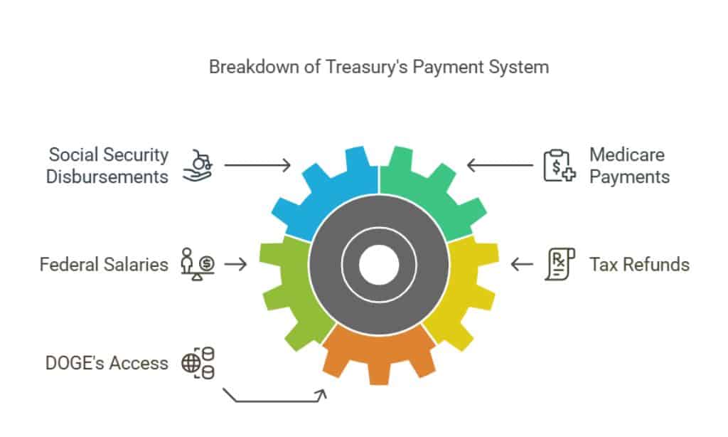 elon musk us treasury payment control