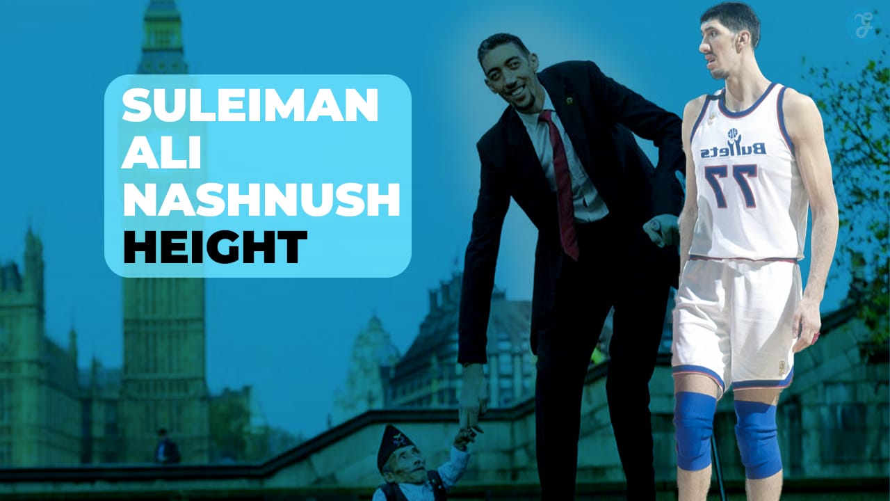 suleiman ali nashnush height